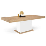 Table à Manger Extensible Eden 6-10 Personnes Bois et Blanc 160-200 cm