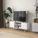 VICCO Meuble TV Banc TV Style scandinave 2 Portes 2 niches Piedsì