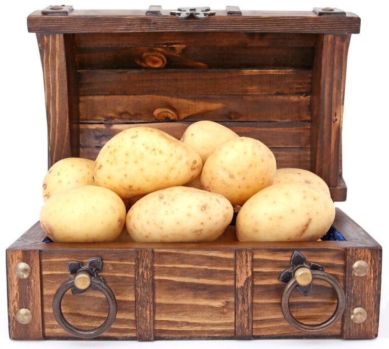 Légumier en bois cuisine : guide d’achat pratique